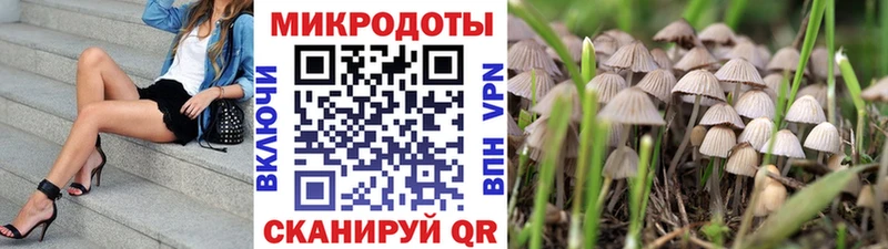 цены   Никольское  кракен рабочий сайт  Псилоцибиновые грибы Psilocybe 